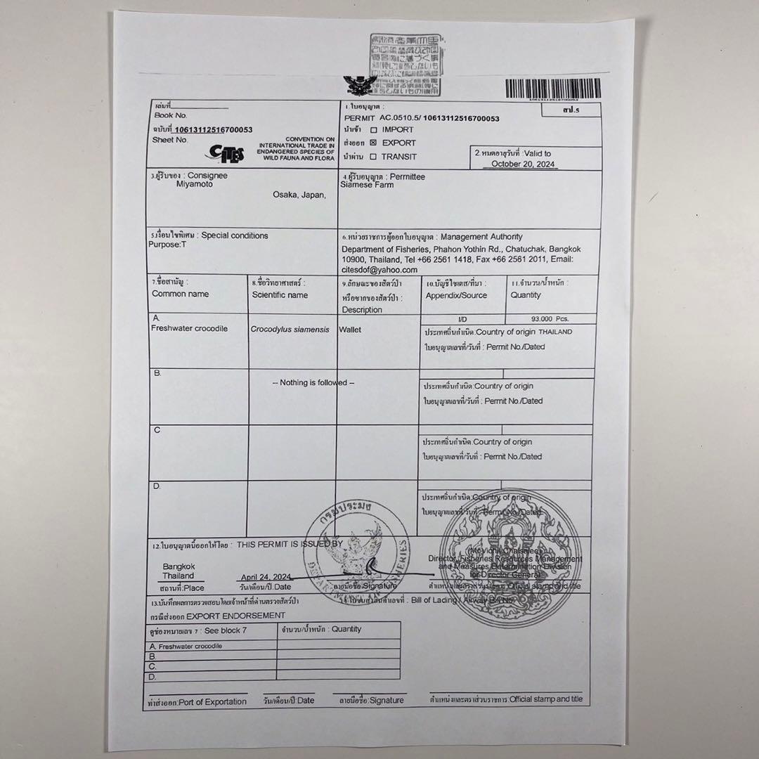 新品 クロコダイル 長財布 グリーン オリーブ 緑色 現物撮影 ゴールド