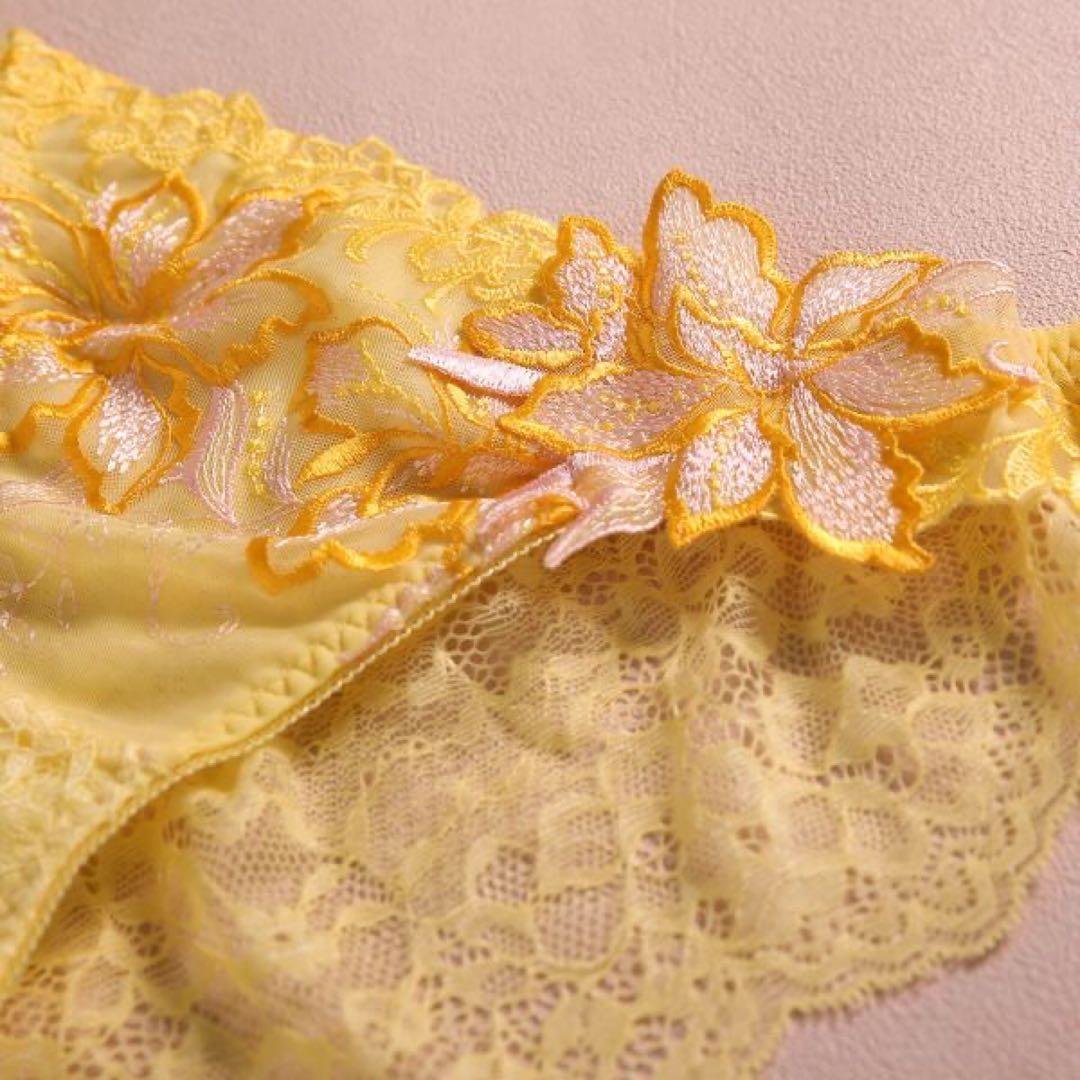 ①リピ割-100★複数割-200★E70、フルバックL♡追加フルバックL2枚✨