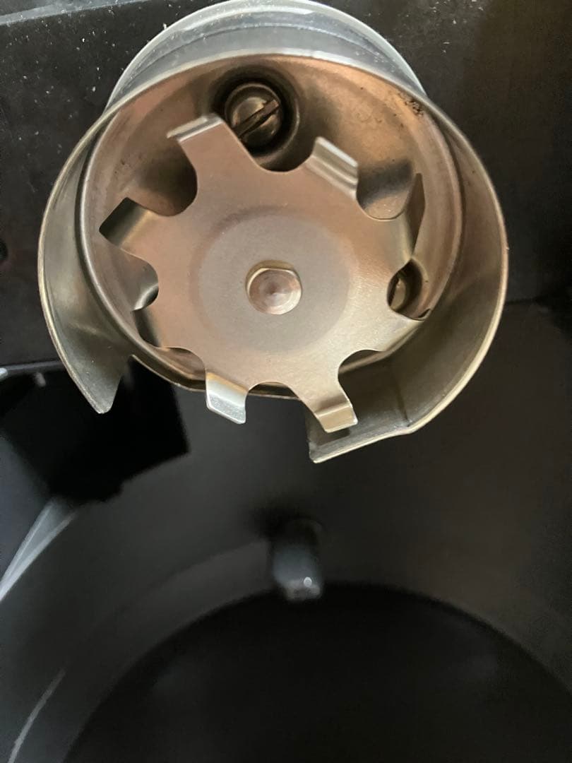 ペンギン夫の妻