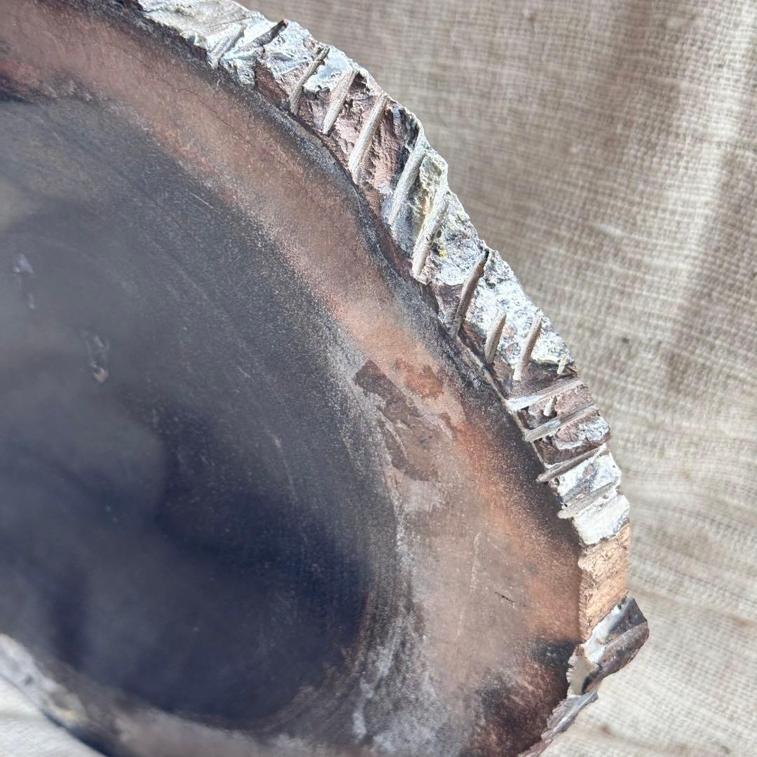 【珪化木】ペトリファイドウッド スラブ インドネシア産