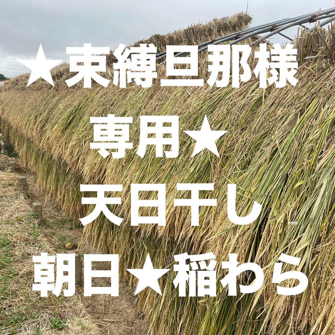 束縛旦那　天日干し★朝日稲藁　農薬不使用　約12キロ