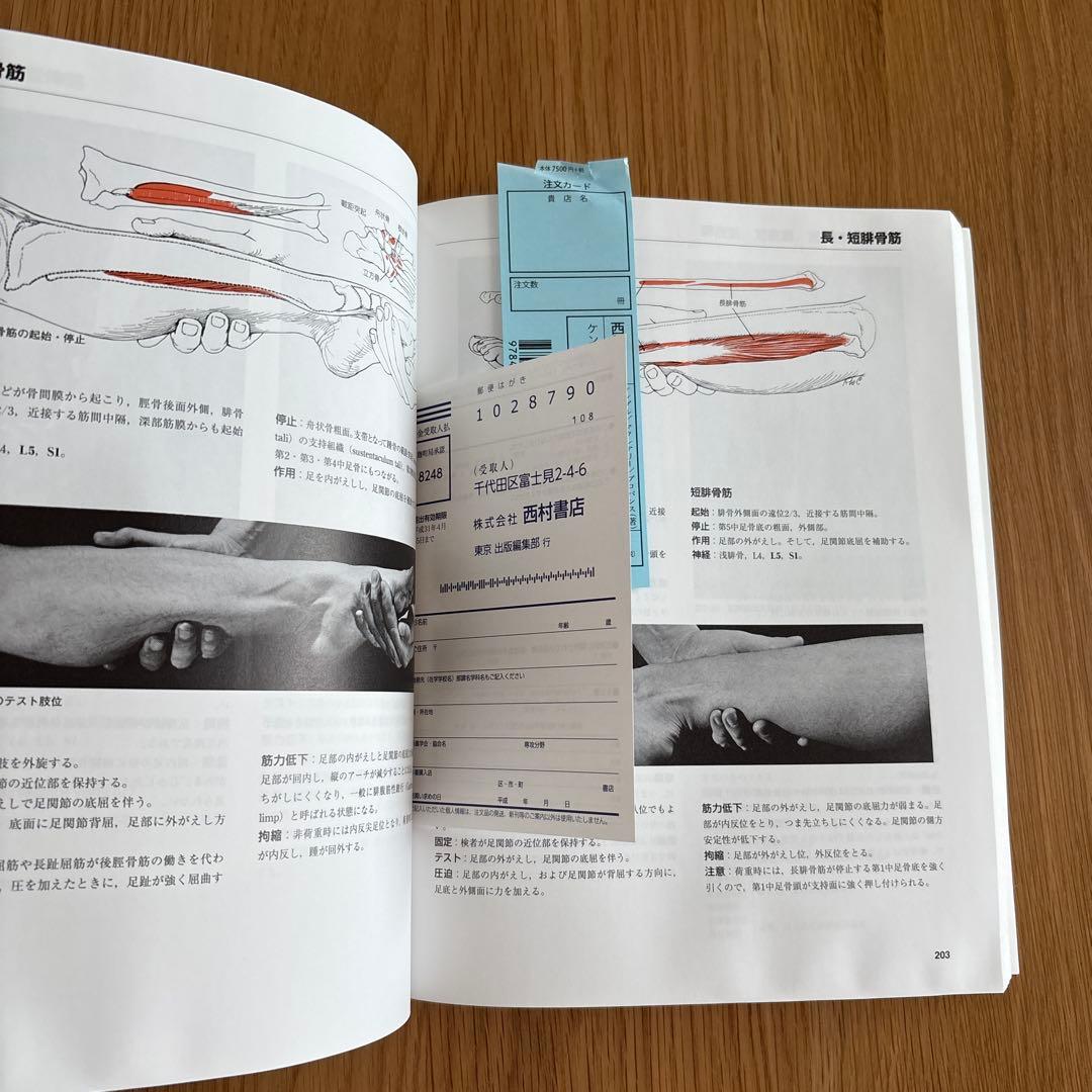 筋・機能とテスト -姿勢と痛み-