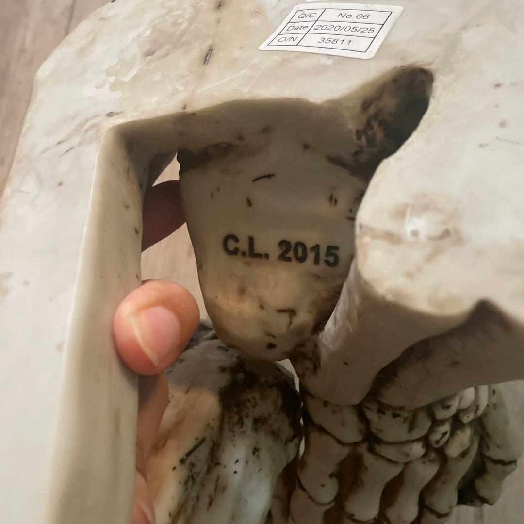 スカルデザイン ウォールフック　骸骨