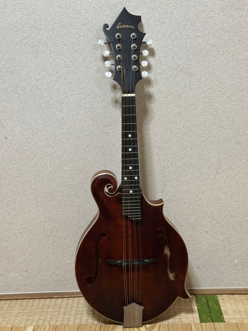 弦楽器 Eastman MD315/Antique Red