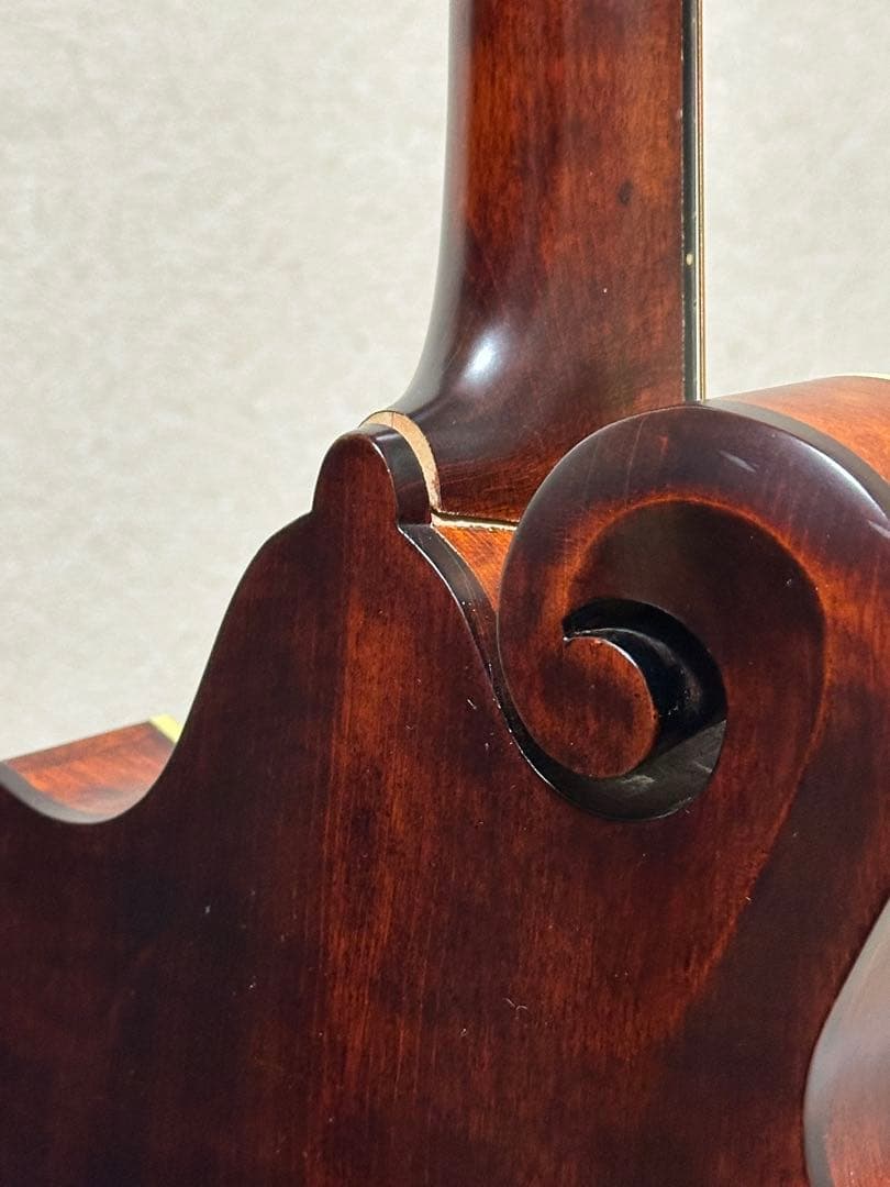 弦楽器 Eastman MD315/Antique Red