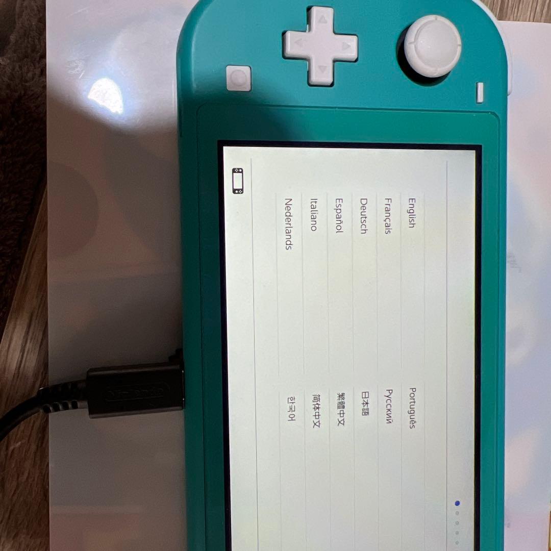 自*n様 Nintendo Switch Lite ターコイズ