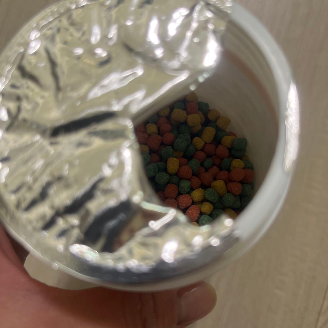 爬虫類　飼育セット　フードおまけ付き