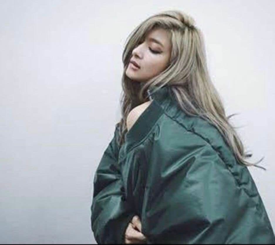 デムナ初期VETEMENS×alphaMA-1 ボンバージャケット