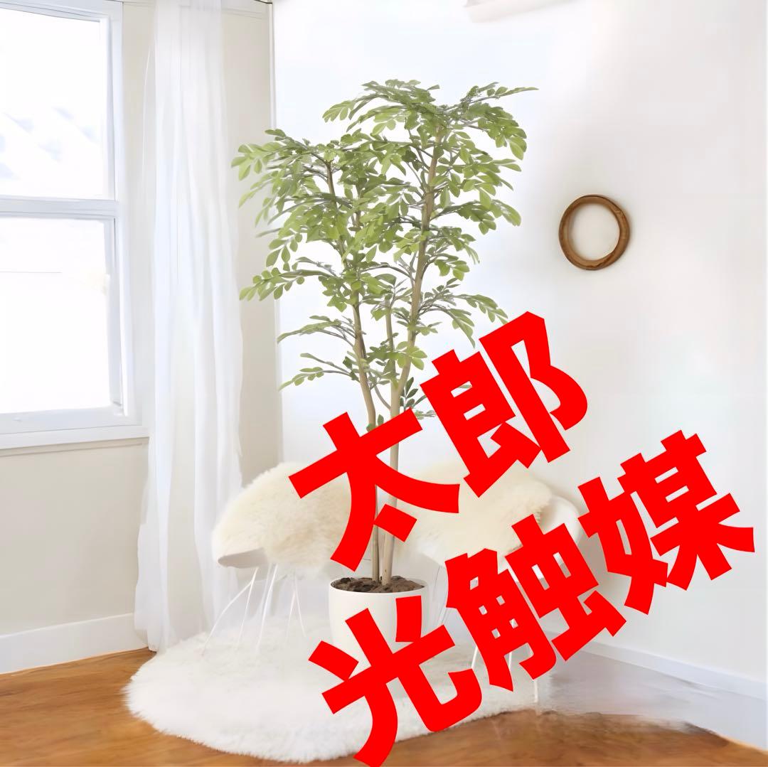 光触媒　人工観葉植物　ウォールグリーン　フェイクグリーン　ライトトネリコ1.3