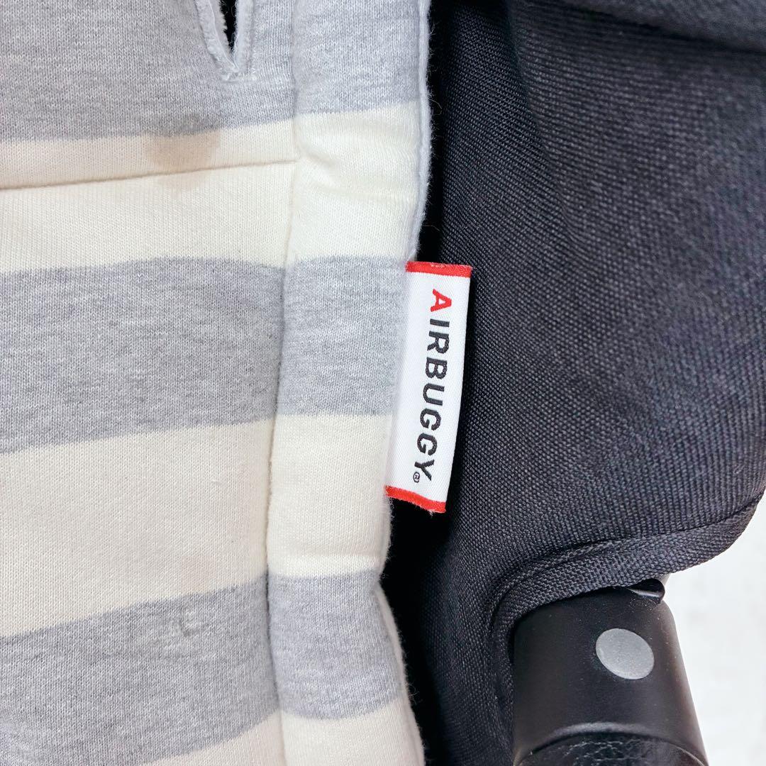 テトさま⭐️ エアバギー ココプレミア フロムバース アースブラック