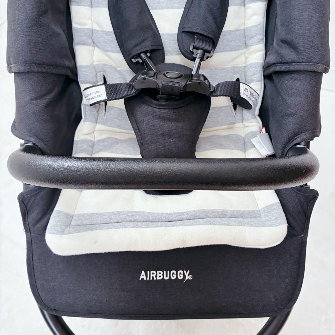 テトさま⭐️ エアバギー ココプレミア フロムバース アースブラック