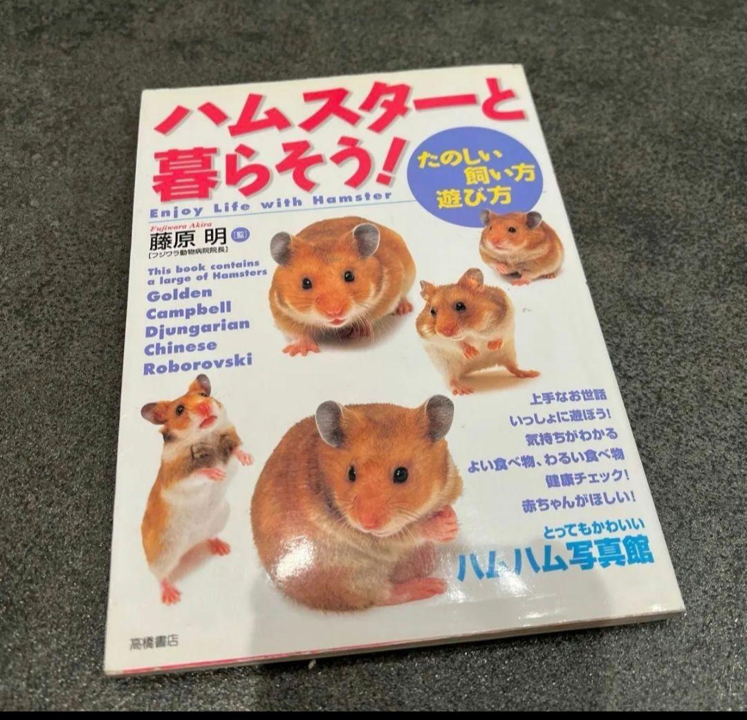 サイズは横60縦36奥行き29cm　大きいケージ　ハムスターお迎えセット