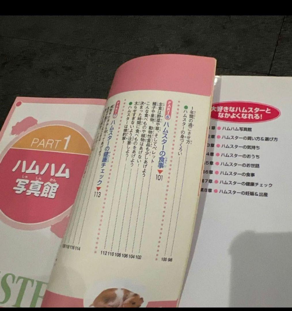 サイズは横60縦36奥行き29cm　大きいケージ　ハムスターお迎えセット