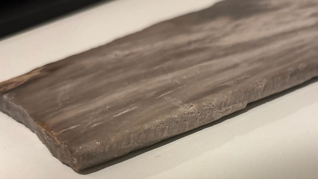 天然石オブジェ／化石化した木片（結晶あり）インテリア・撮影小