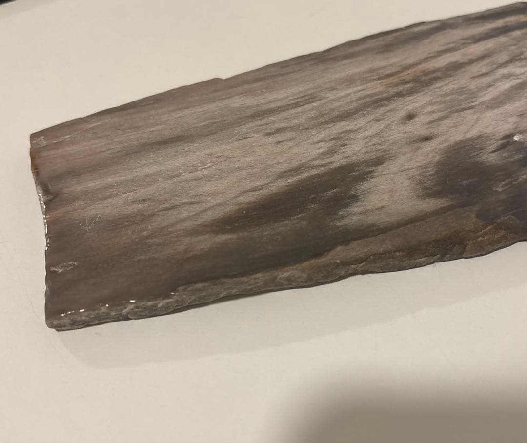 天然石オブジェ／化石化した木片（結晶あり）インテリア・撮影小