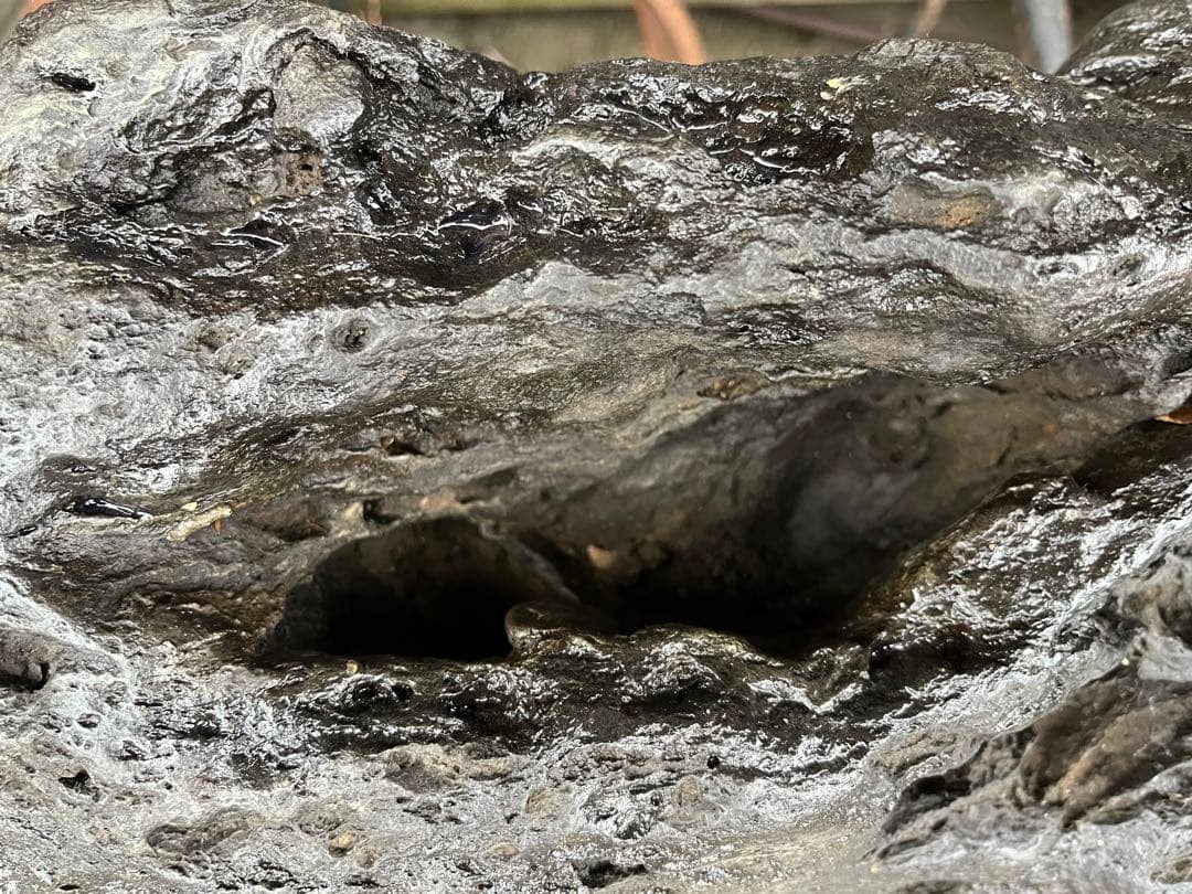 特大鑑賞石、60センチ、幸太郎石、幸太郎石台座付き、盆景石、盆石、水石、