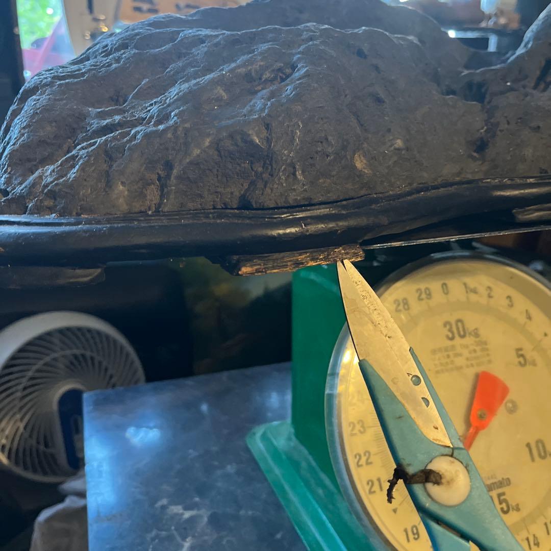 特大鑑賞石、60センチ、幸太郎石、幸太郎石台座付き、盆景石、盆石、水石、