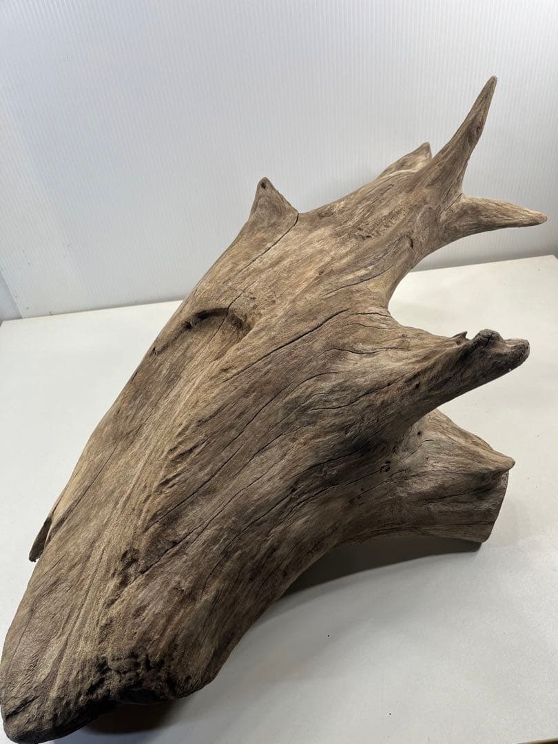 V68特大流木 アク抜き済み流木 爬虫類シェルター 登り木 インテリア 生け花