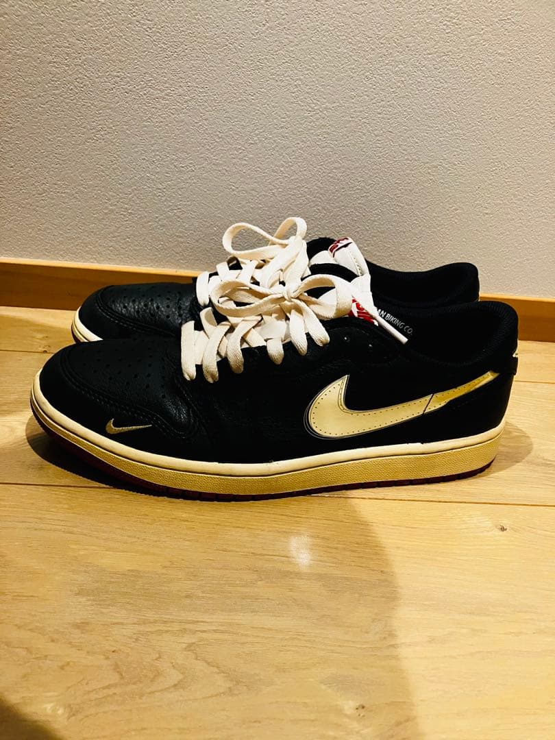 Nigel Sylvester×Nike Air Jordan1RetroLow