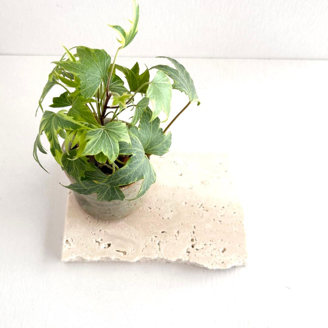 512ロマノトラバーチン（大理石端材プレート）