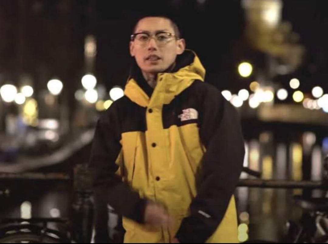 希少 廃盤 最安 ノースフェイス マウンテンライト 舐達磨 DELTA9KID