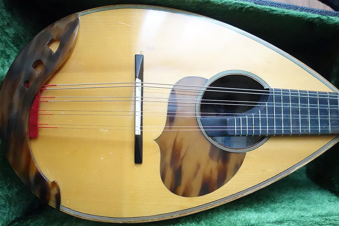 カラーチェ マンドリン RAFFAELE CALACE TYPE24 Z22