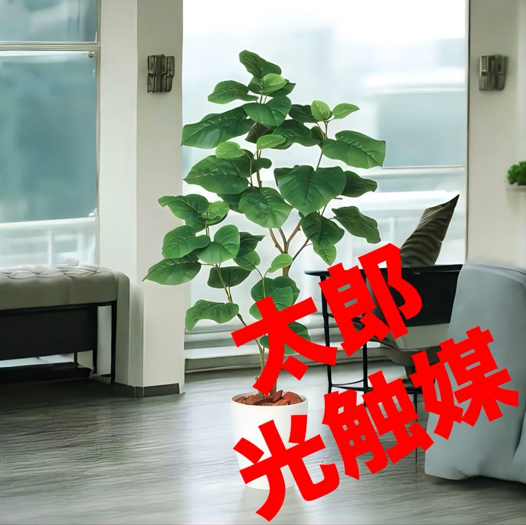 光触媒　人工観葉植物　フェイクグリーン　ウンベラータ2本立FST