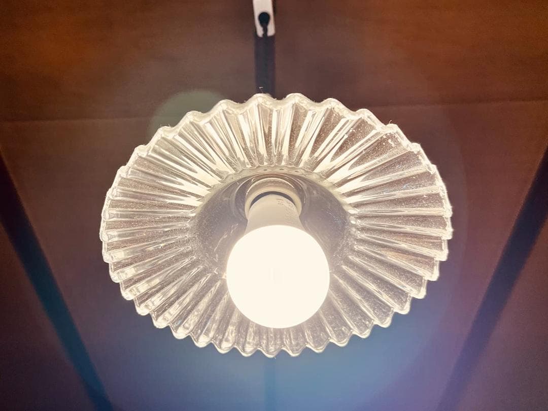 ガラスシェード付き1灯ペンダントライト 花 エレガント