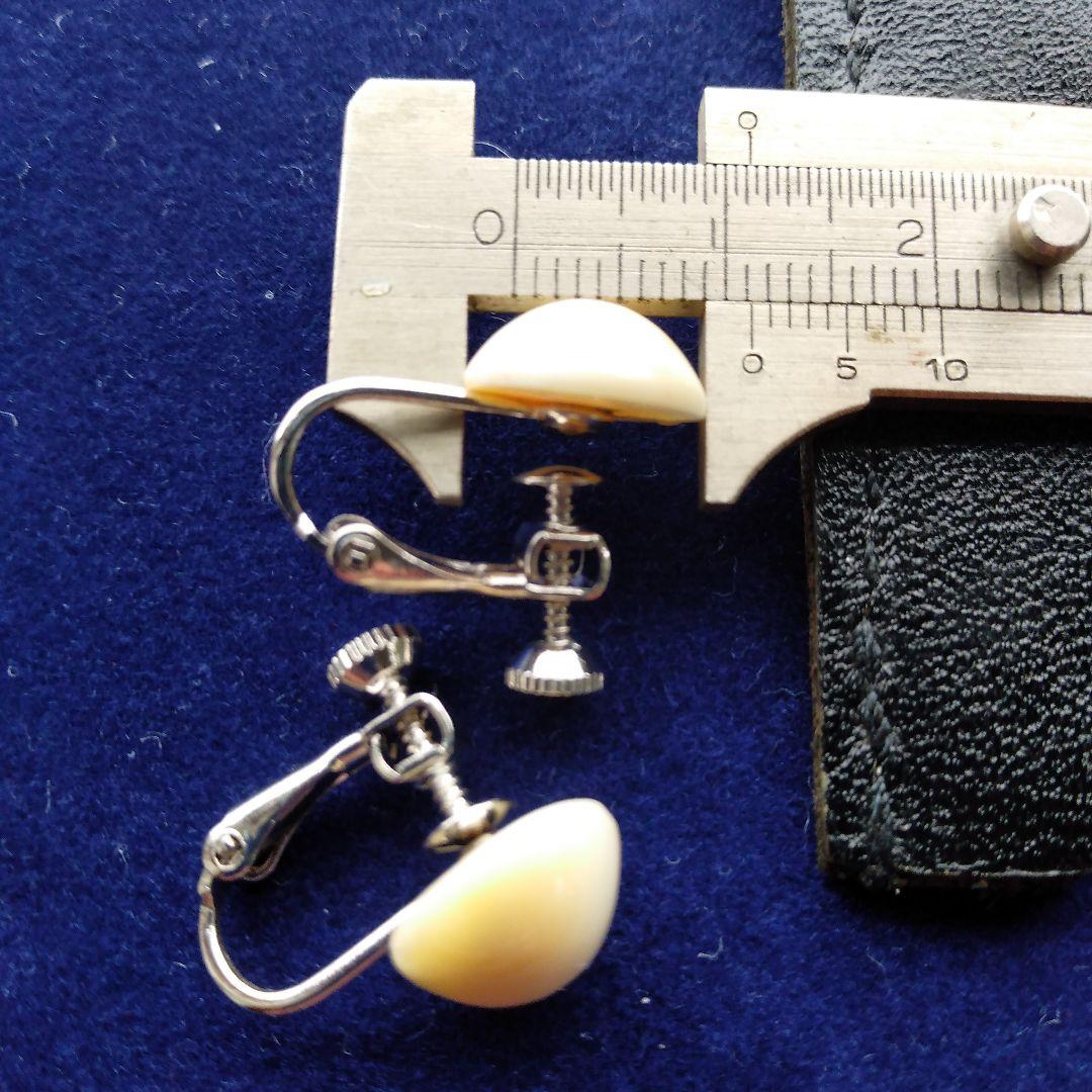 鯨歯　マッコウクジラ　イヤリング＆ピアス