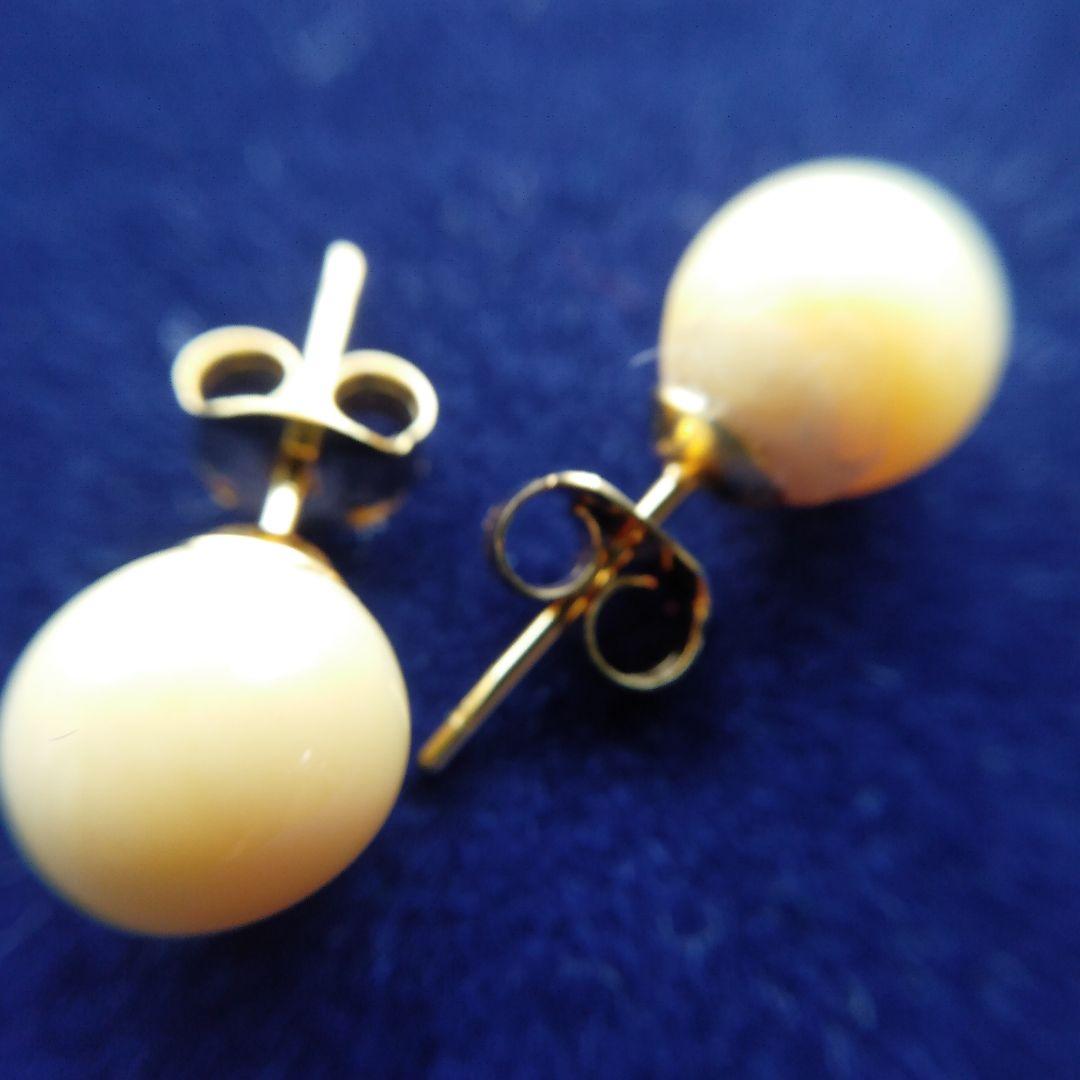 鯨歯　マッコウクジラ　イヤリング＆ピアス