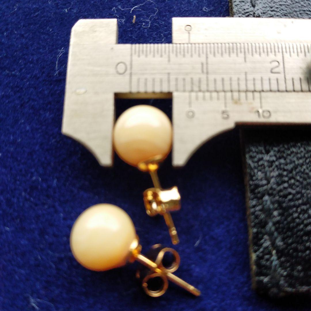 鯨歯　マッコウクジラ　イヤリング＆ピアス