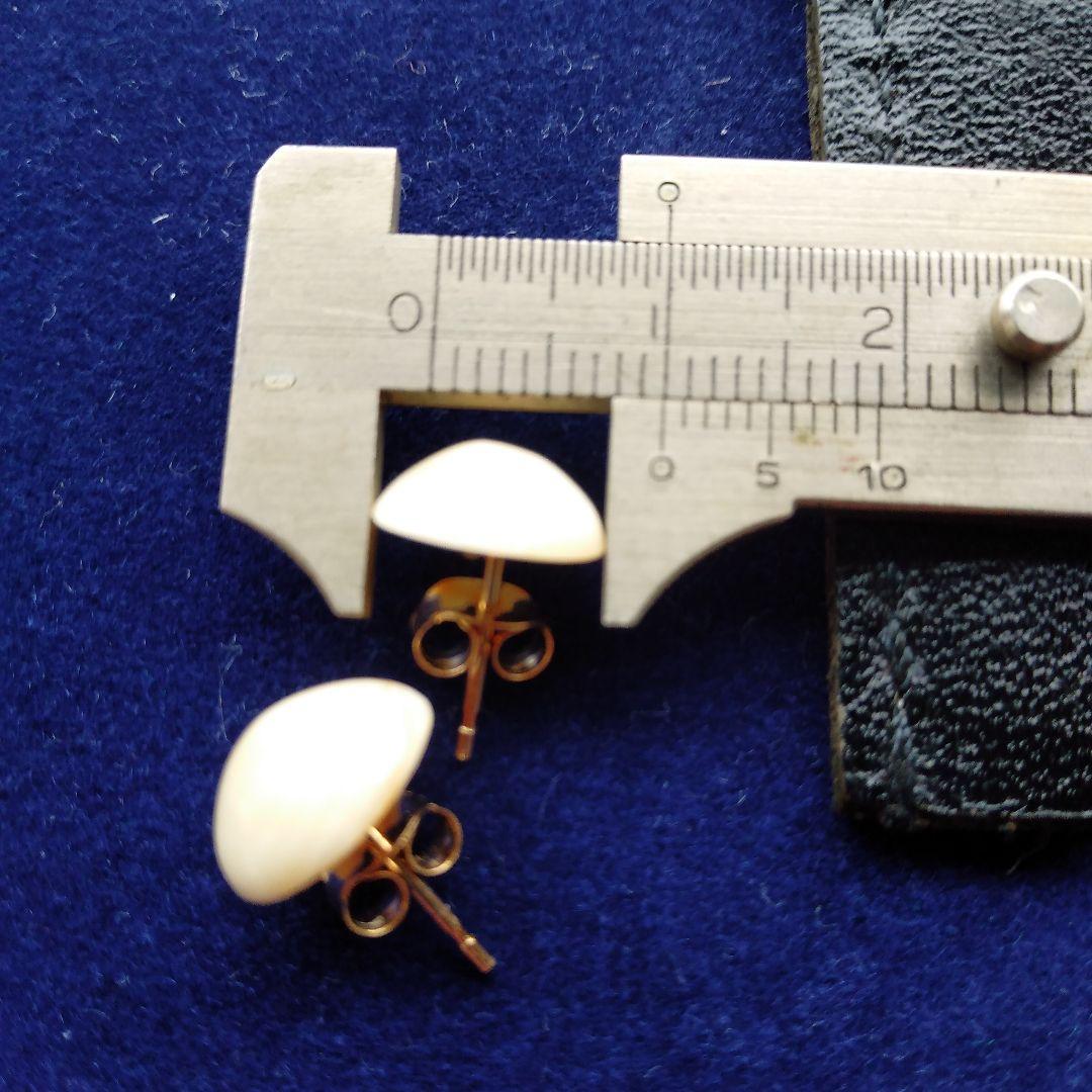 鯨歯　マッコウクジラ　イヤリング＆ピアス