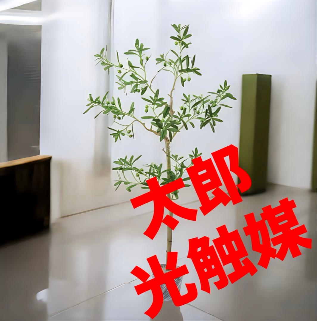 光触媒　人工観葉植物　ウォールグリーン　フェイクグリーン　ジョイントオリーブ