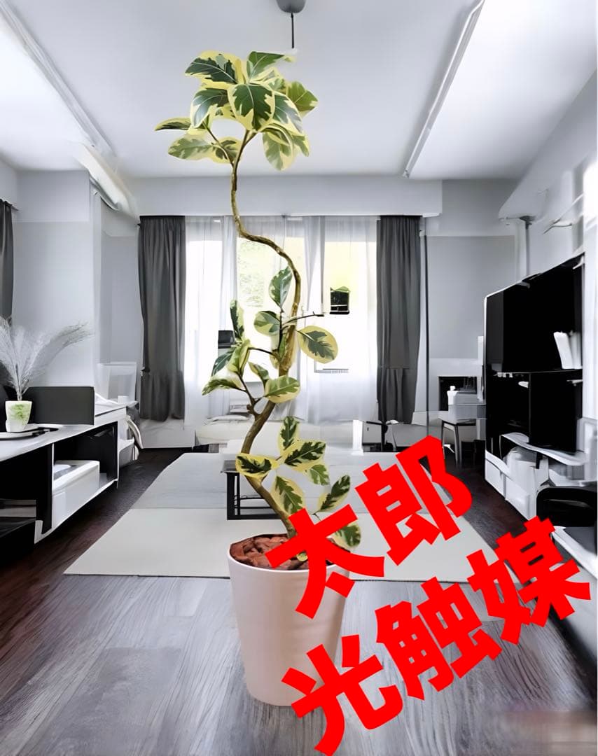 光触媒　人工観葉植物　ウォールグリーン　フェイクグリーン　ツイストアルテシマaj