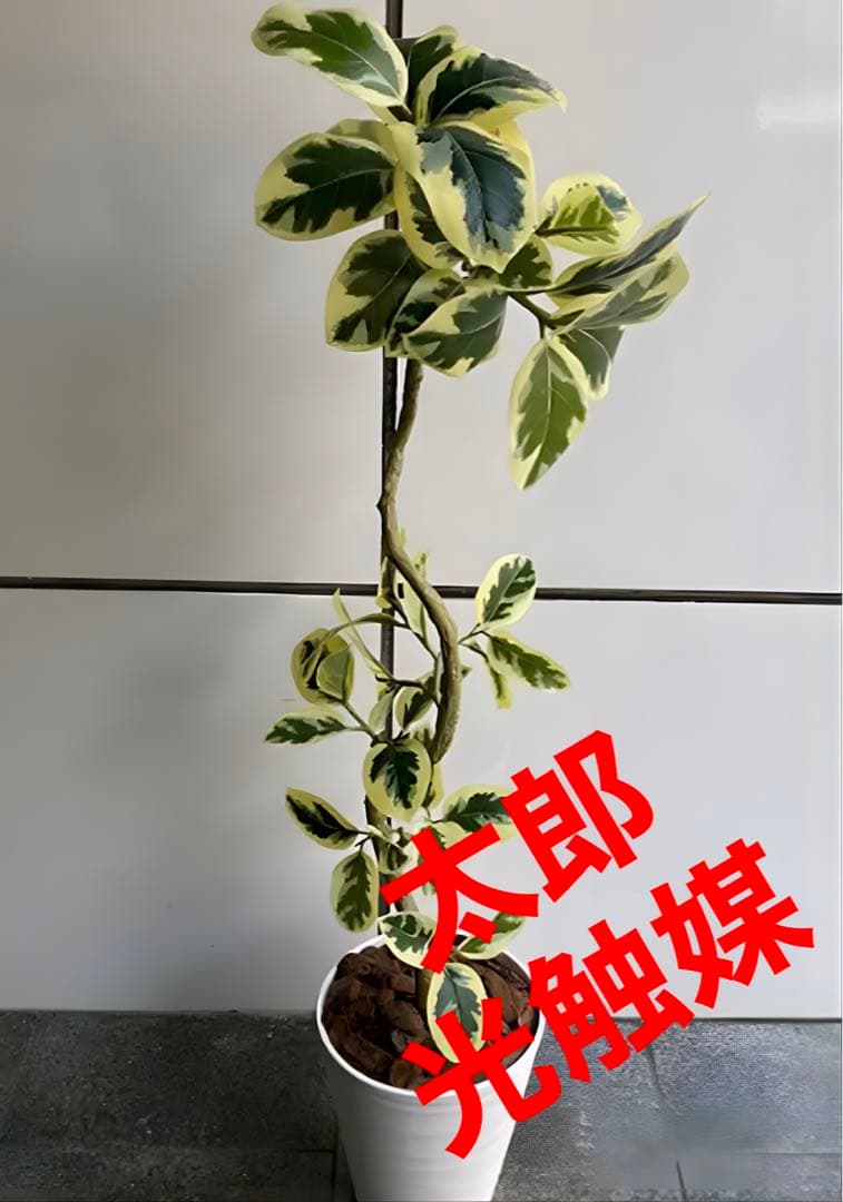 光触媒　人工観葉植物　ウォールグリーン　フェイクグリーン　ツイストアルテシマaj