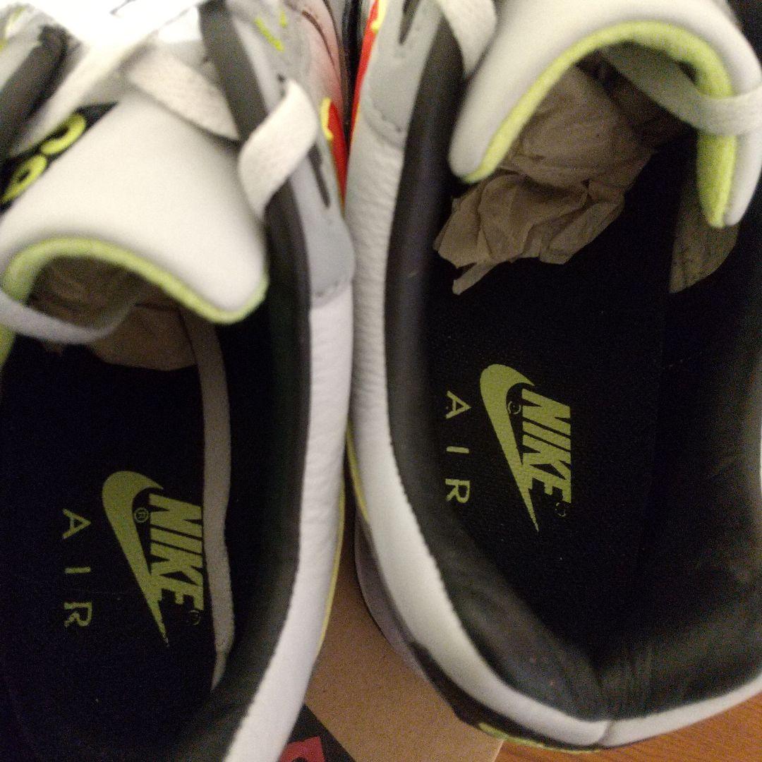 靴 Nike Air Wildwood ACG 10 (US)