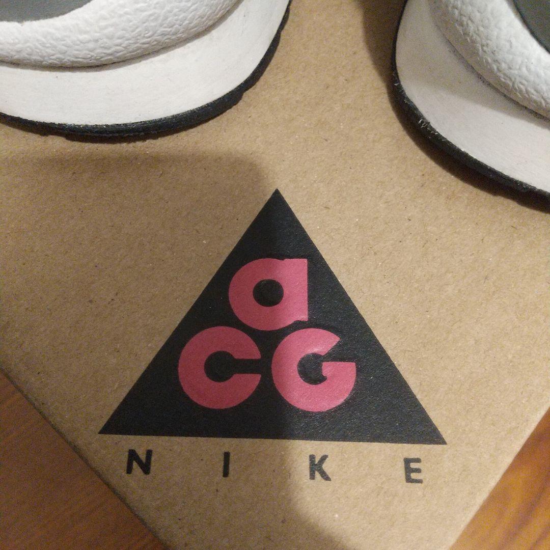 靴 Nike Air Wildwood ACG 10 (US)