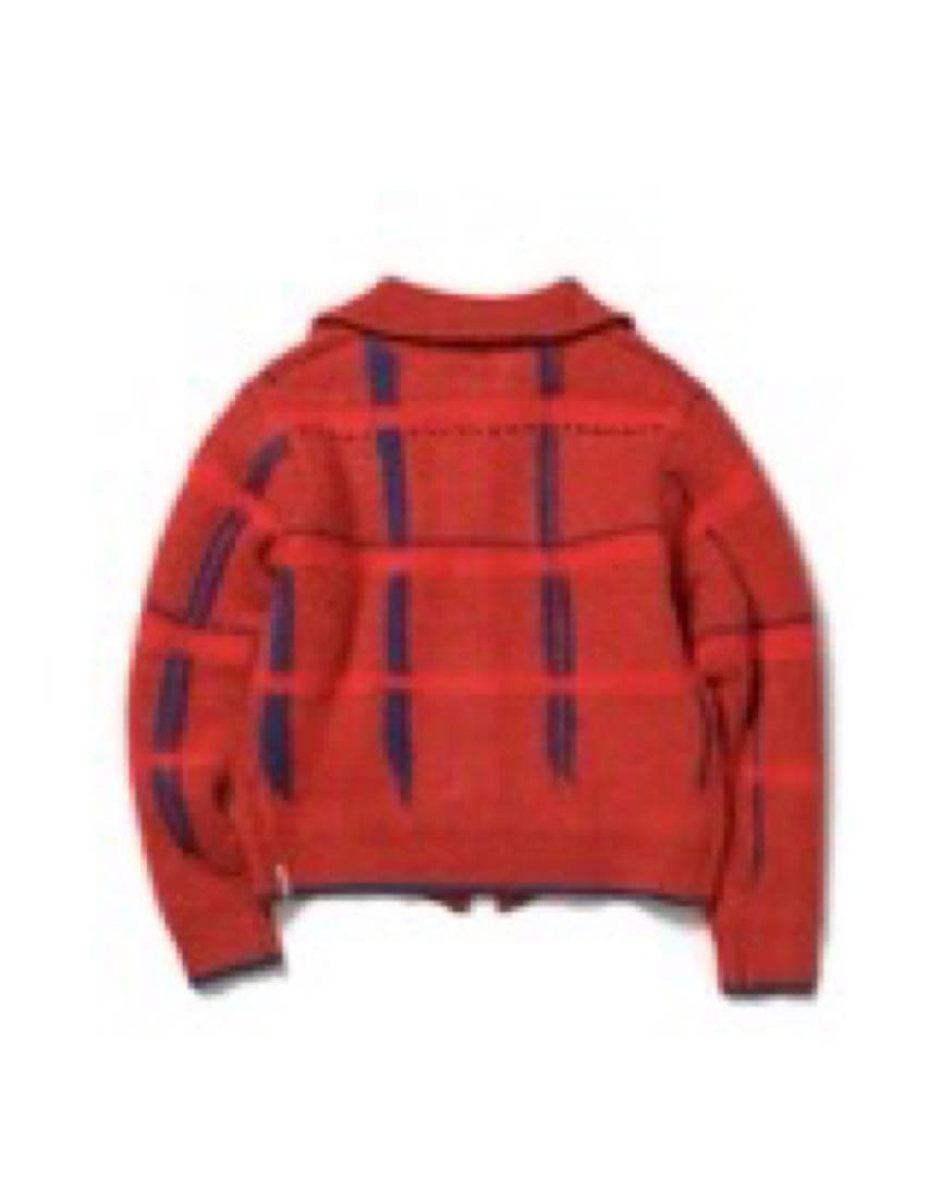 pamm 透明な空気のチェックジップニット