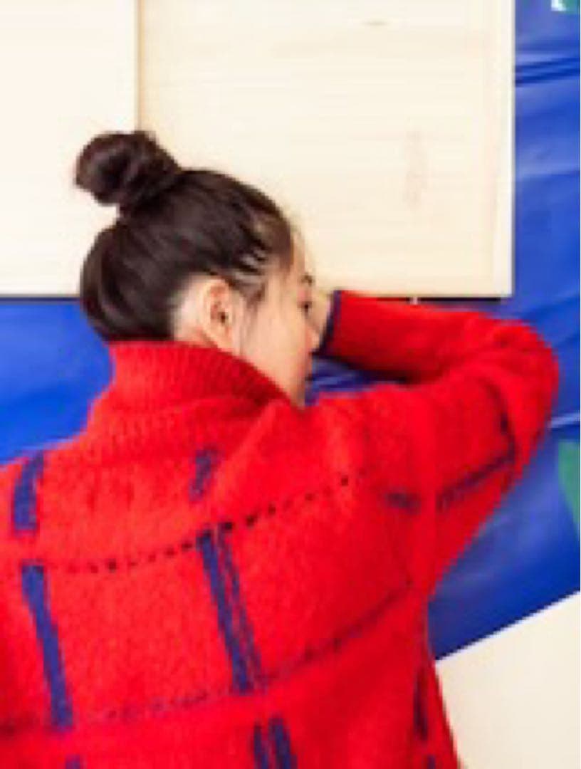 pamm 透明な空気のチェックジップニット