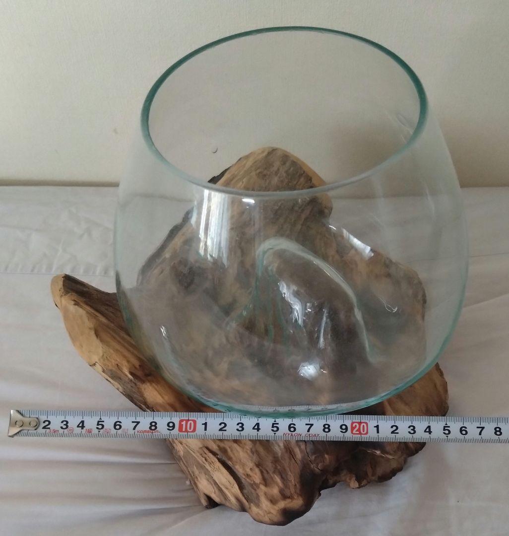 流木 テラリウム 球体ガラス 水槽 苔 観葉植物【値下げ】