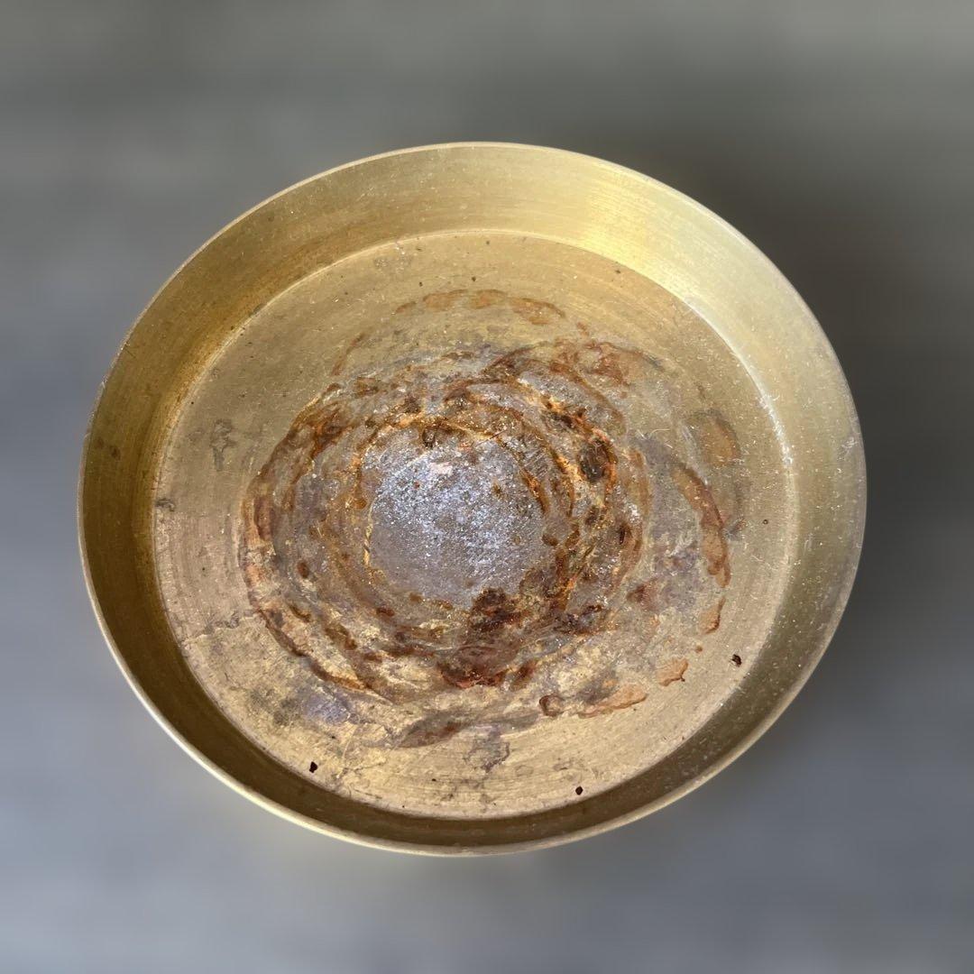 m&m masses 鉢 鉢皿 ゴールド アガベ 塊根植物