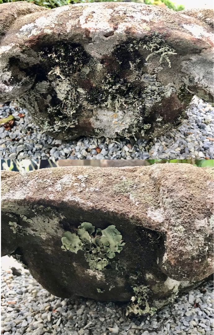 【天然石・蹲・見立て笠型水鉢・手水鉢・庭石３６kg】庭石オブジェ箱庭バードバス