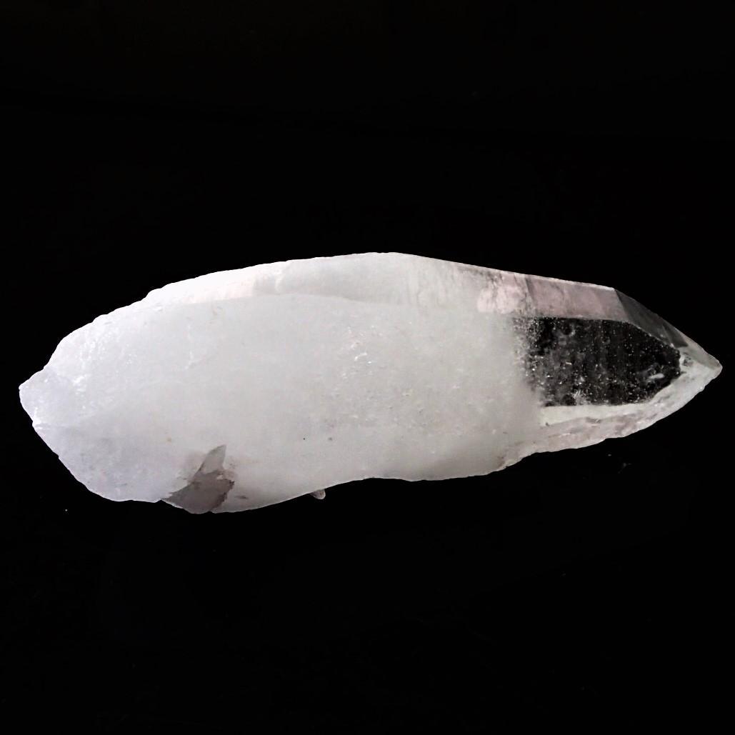 値下しました！ティップリン産ポイント-62-1