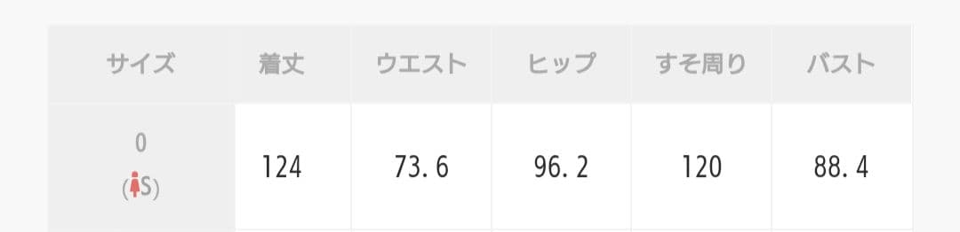スナイデル　エンブロイダリーシアーレイヤードドレス