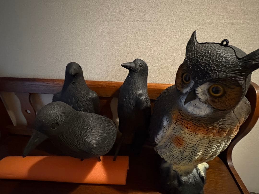 フクロウ・カラス(3)デコイセット