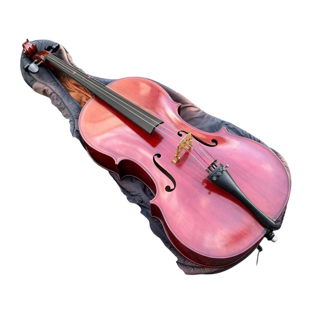 Kosuke Inoko/猪子宏祐 チェロ Anno1970【ジャンク品】