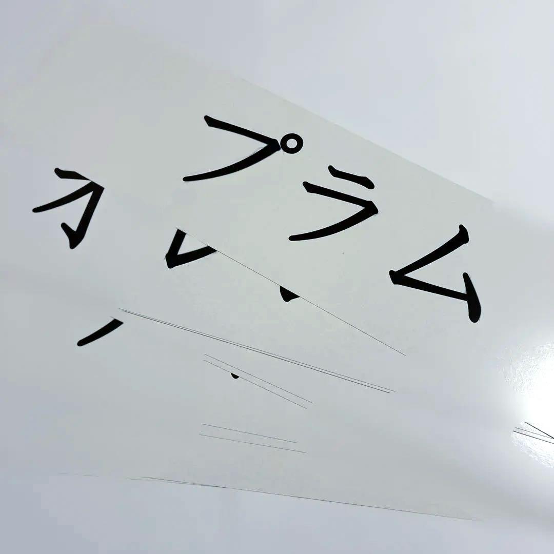 Your Smart Baby's First Program ドーマン研究所