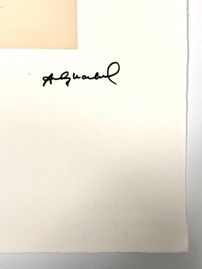 【模写】限定100部証明書 Andy Warhol One Blue Pussy