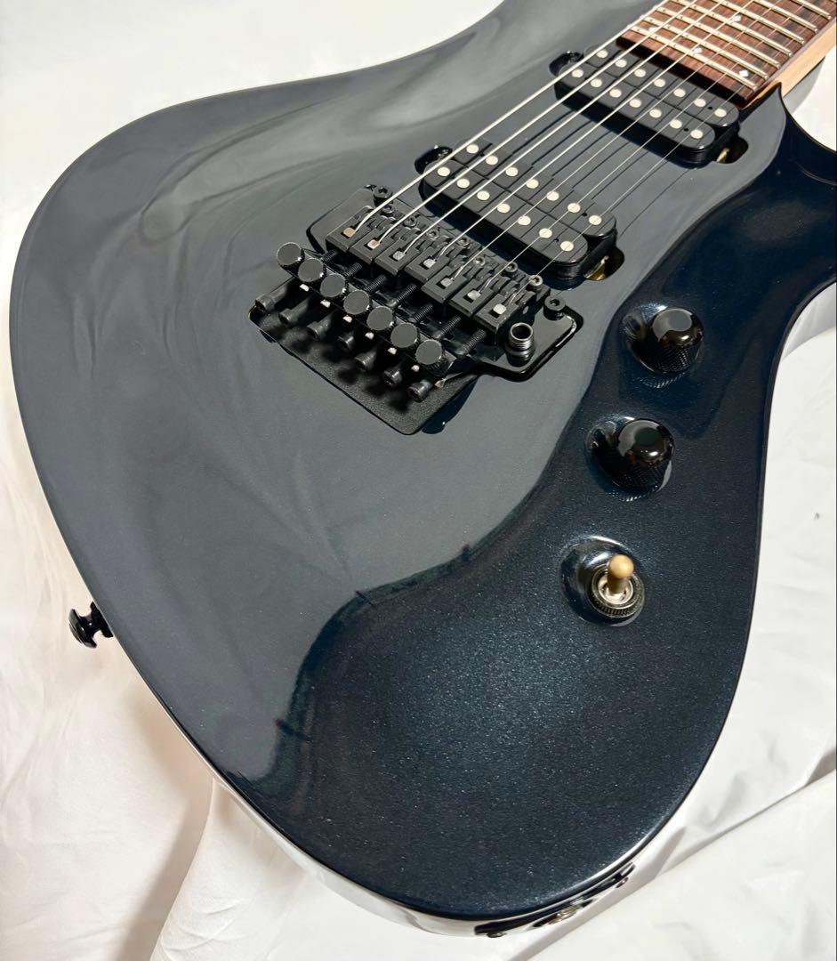 【新品弦張替済】Progauge 7弦ギター フロイドローズ シェクター