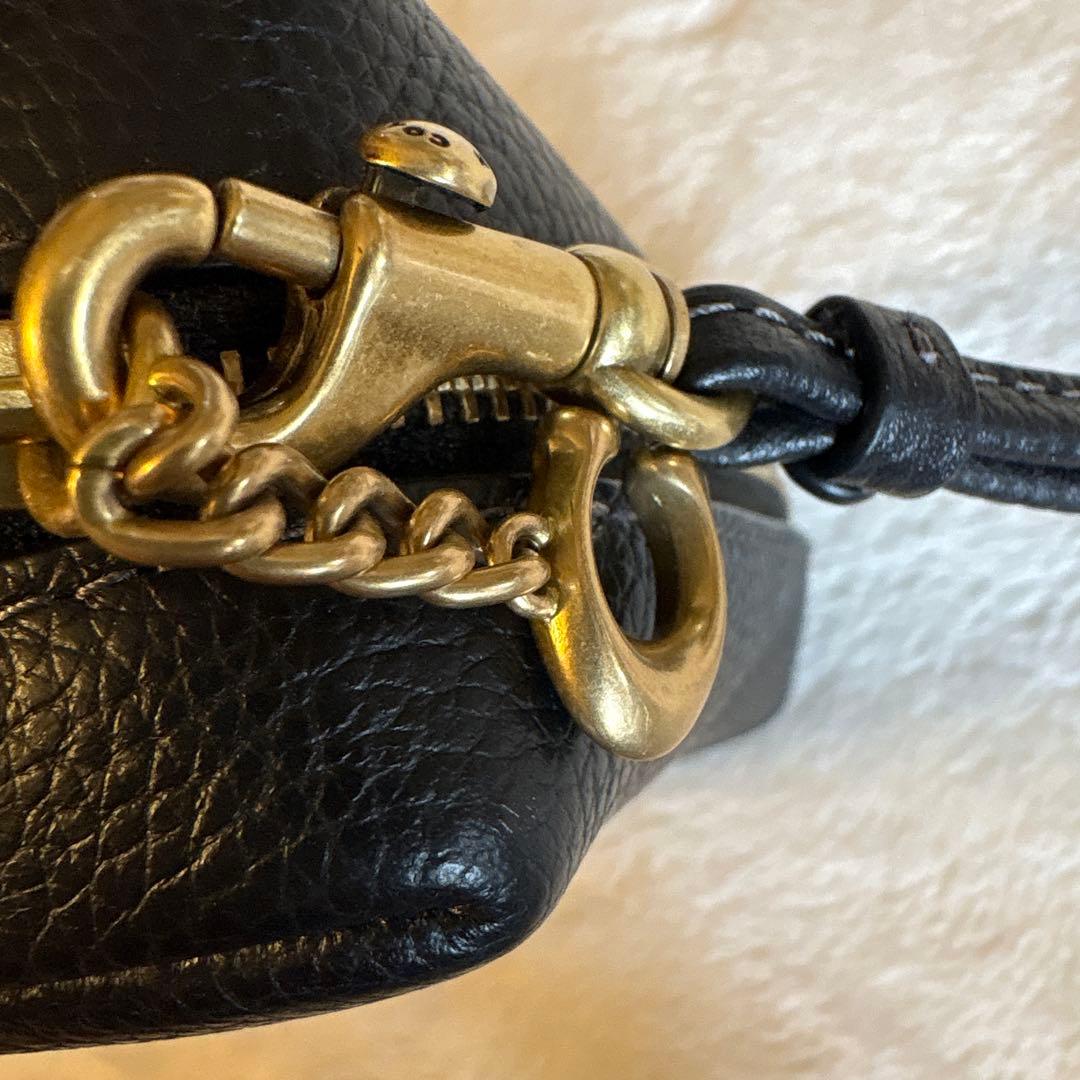 美品coach レキシー　デザイン 黒 ケース　コーチ恐竜